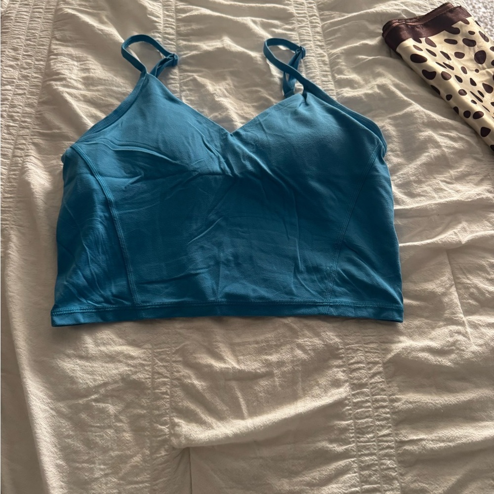 Aritzia Blue Leggings